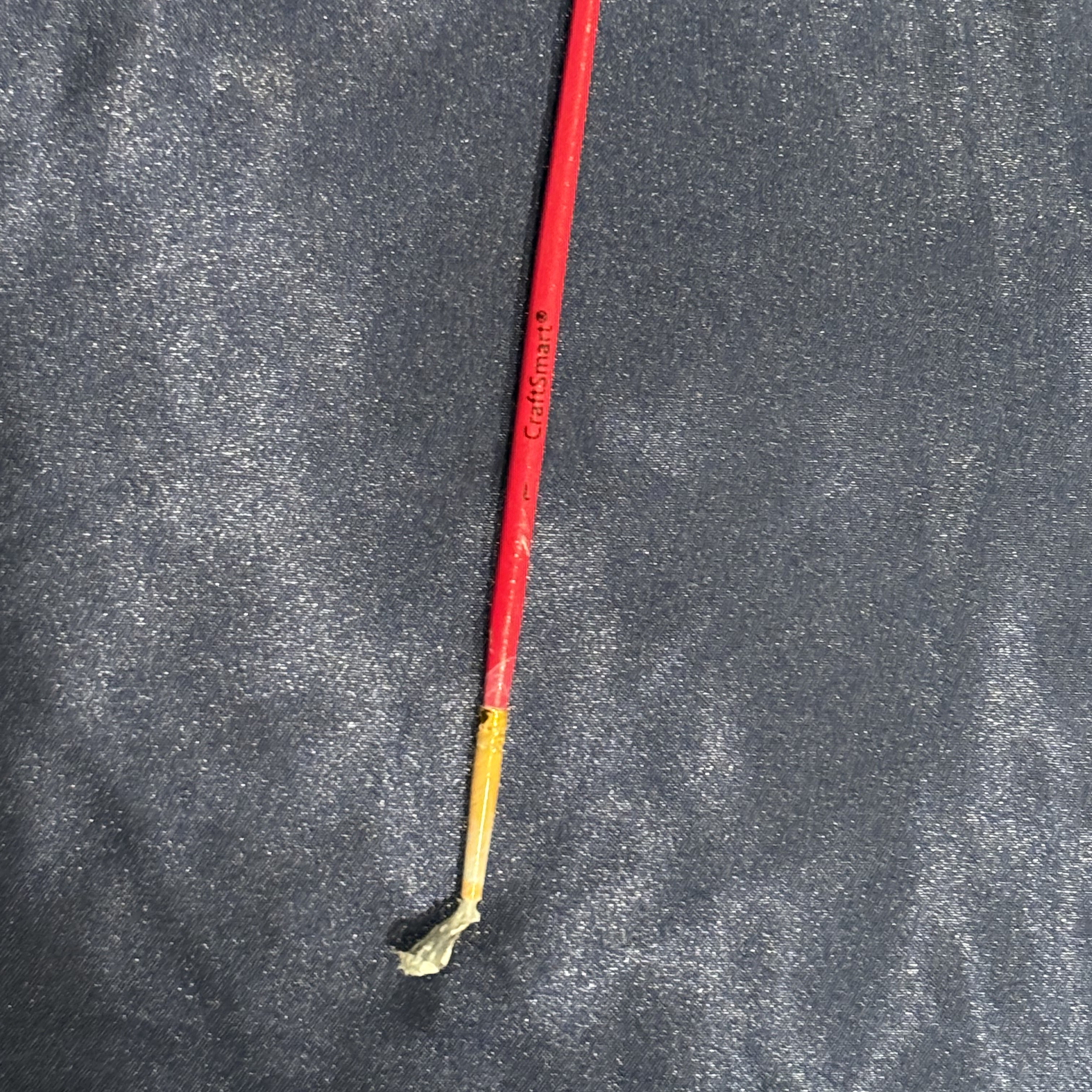 Used paintbrush with dried paint